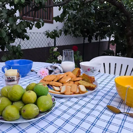 Il Nido Apartamento