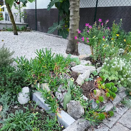 Appartement Il Nido *