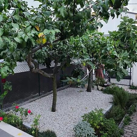 Il Nido Apartamento *